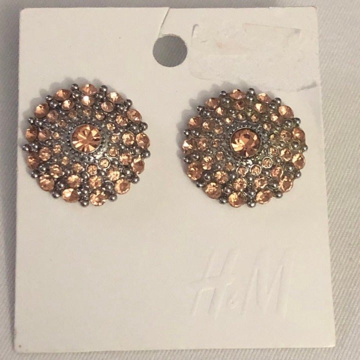 H&M Rose Rhinestone Round Silver Tone Earrings Noc